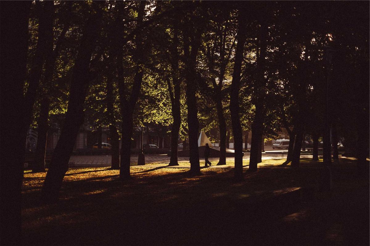 Coliving guide for Wilderness